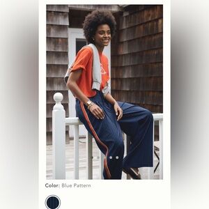 Anthropologie the Avery Pleated Wide Leg Pants size Medium